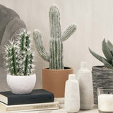 Mexican Cactus Artificial Plant 41cm