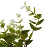 Zanzibar Artificial Plant 40cm