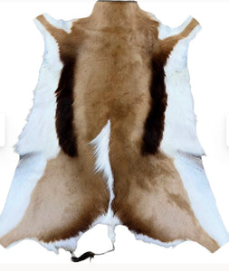 Springbok Hide