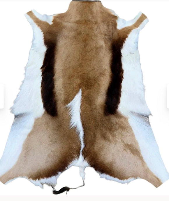 Springbok Hide