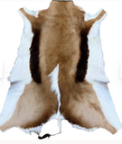 Springbok Hide