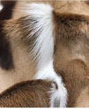 Springbok Hide