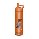 German Shorthaired Pointer Drink Bottle