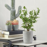 Zanzibar Artificial Plant 40cm