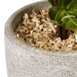 Zanzibar Artificial Plant 40cm