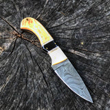 Olive Wood & Bone Skinner