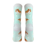 King Charles Cavalier Socks