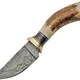 Stag Horn Skinner Knife