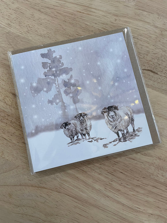 Snowy Sheep Card