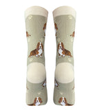 Basset Hound Socks